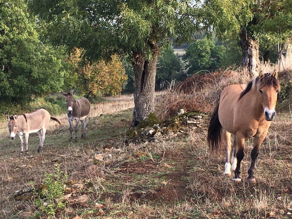 Gites Les Demeures De Valette Azay-le-Brule Exterior foto